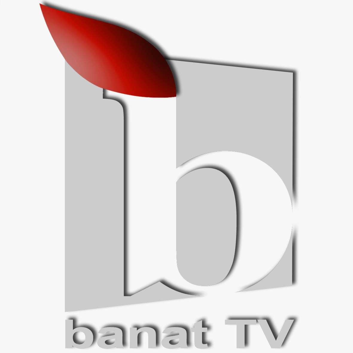 Banat TV